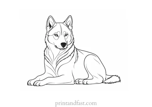 husky coloring page sitting