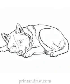 husky coloring page sleeping