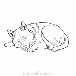 husky coloring page sleeping