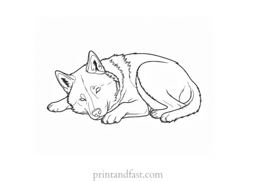 husky coloring page sleeping