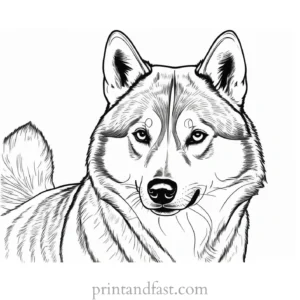 husky coloring page summer