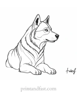 husky coloring page template