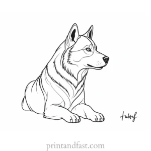 husky coloring page template