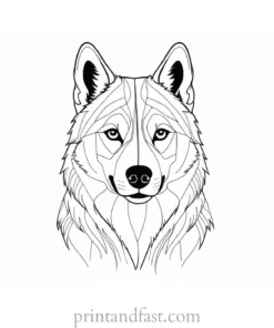 husky coloring page winter