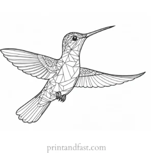 intricate Hummingbird Coloring Page