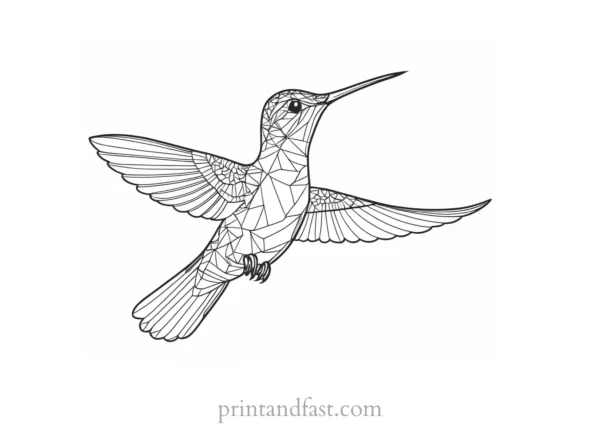 intricate Hummingbird Coloring Page