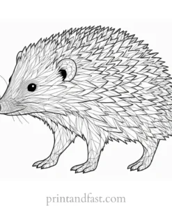 intricate hedgehog coloring page