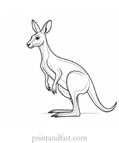 kangaroo coloring page for kids