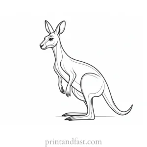 kangaroo coloring page for kids