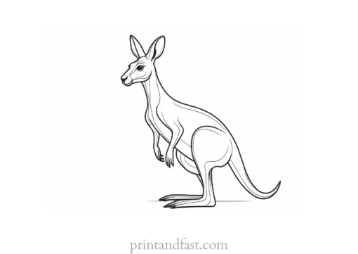 kangaroo coloring page for kids