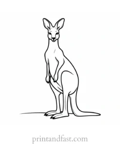 kangaroo coloring page template