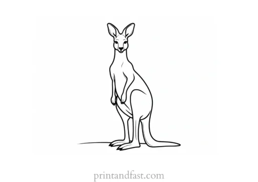 kangaroo coloring page template