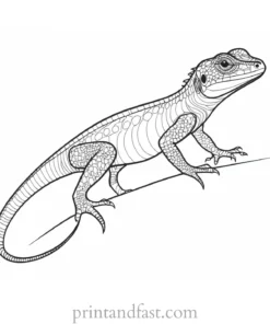 lizard coloring page advanced