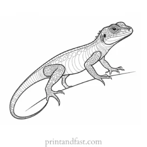 lizard coloring page advanced