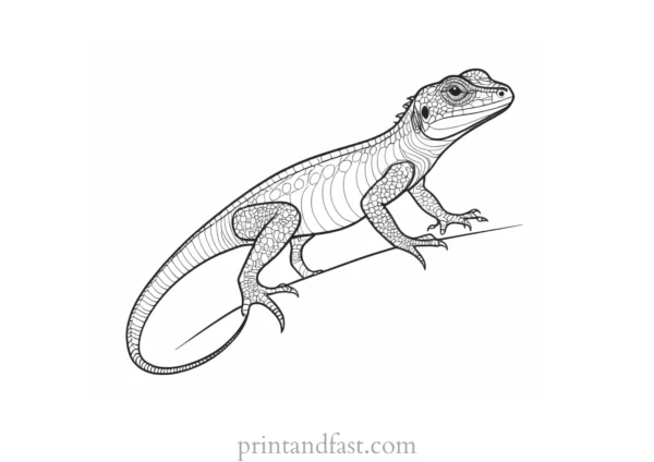 lizard coloring page advanced