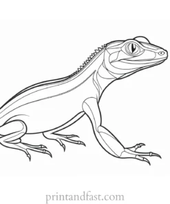 lizard coloring page cartoon