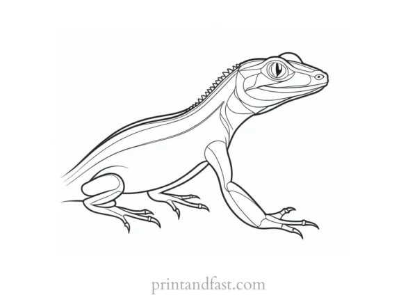 lizard coloring page cartoon