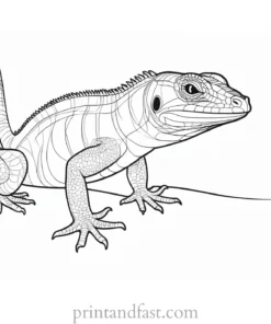 lizard coloring page cute