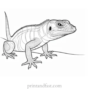 lizard coloring page cute