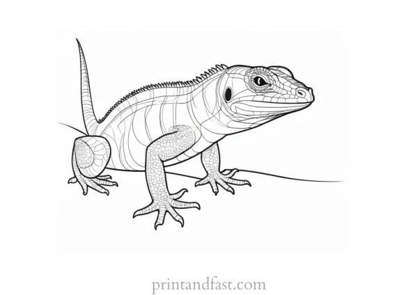 lizard coloring page cute