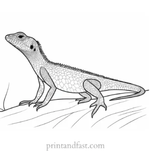 lizard coloring page desert