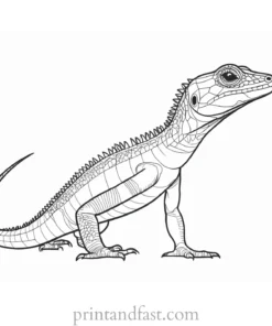 lizard coloring page detailed