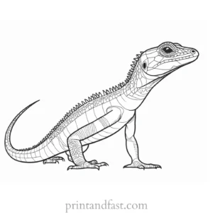 lizard coloring page detailed