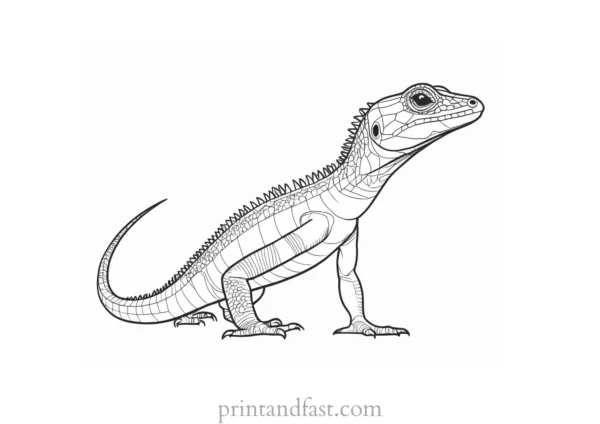 lizard coloring page detailed