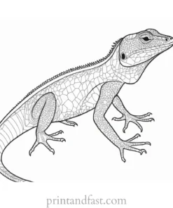 lizard coloring page easy