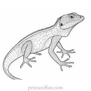 lizard coloring page easy