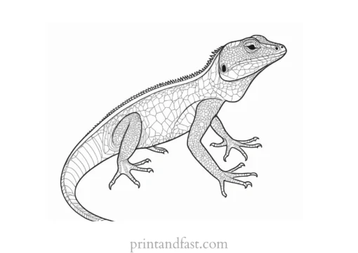 lizard coloring page easy