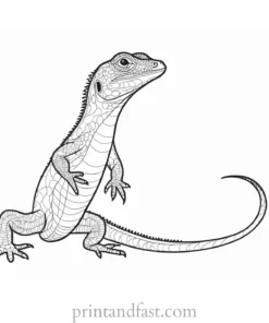 lizard coloring page educational