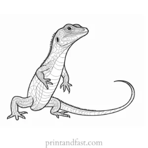 lizard coloring page educational