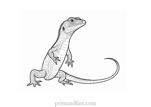 lizard coloring page educational