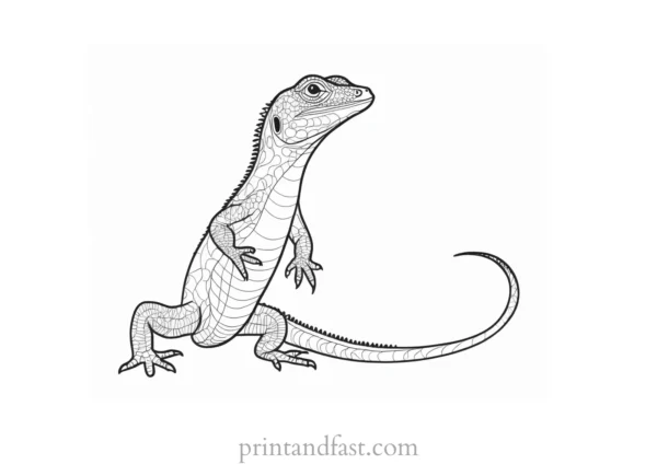 lizard coloring page educational