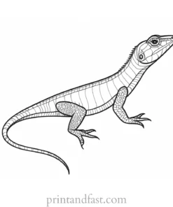 lizard coloring page for adults