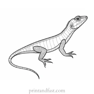 lizard coloring page for adults