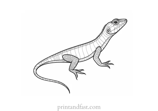 lizard coloring page for adults