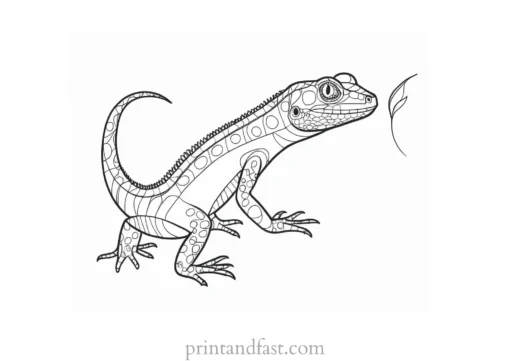 lizard coloring page for kids