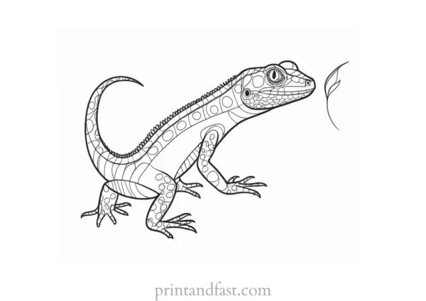 lizard coloring page for kids