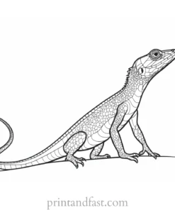 lizard coloring page free