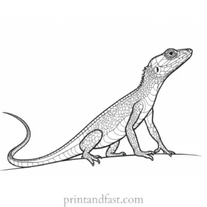 lizard coloring page free