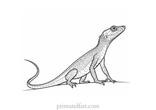 lizard coloring page free