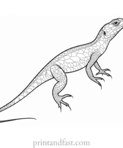 lizard coloring page fun