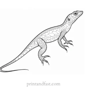 lizard coloring page fun