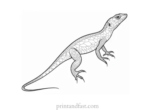 lizard coloring page fun