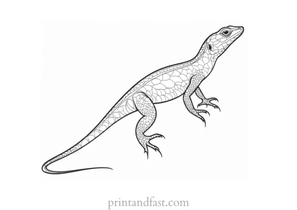 lizard coloring page fun