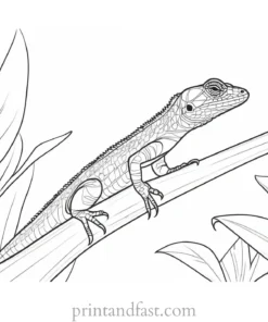 lizard coloring page jungle