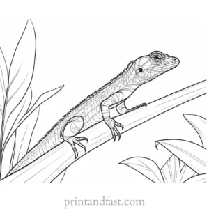 lizard coloring page jungle