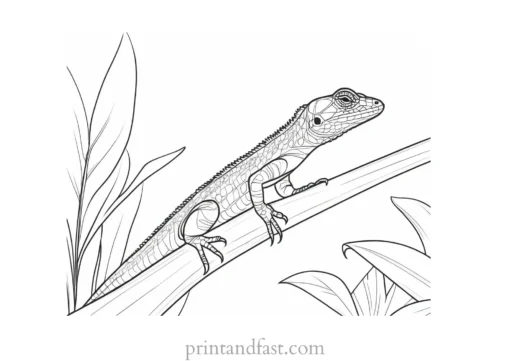 lizard coloring page jungle